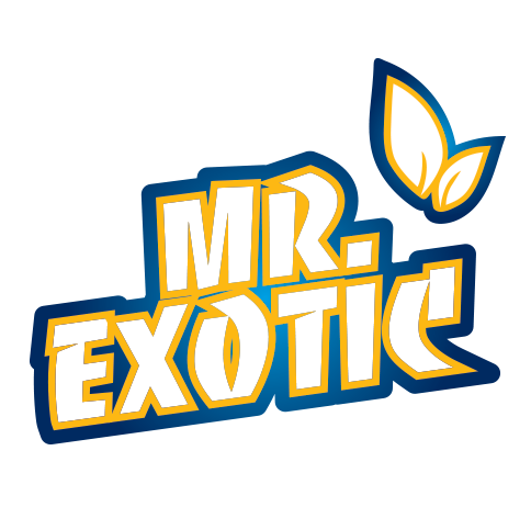 Mr Exotic